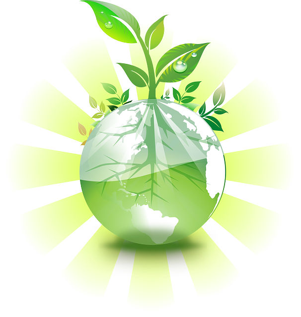 advetiser logo
